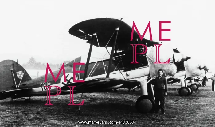 : Gloster Gladiator : Gloster Gladiator