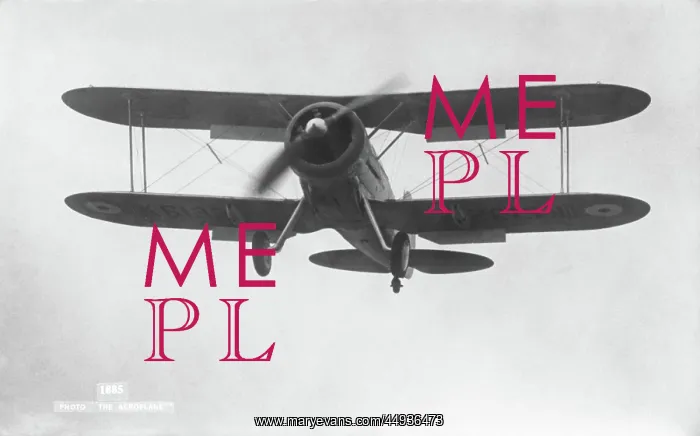 : Gloster Gladiator : Gloster Gladiator