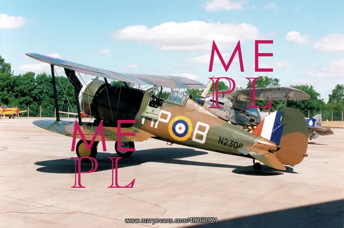  : Gloster Gladiator I G-AMRK  /  N2308