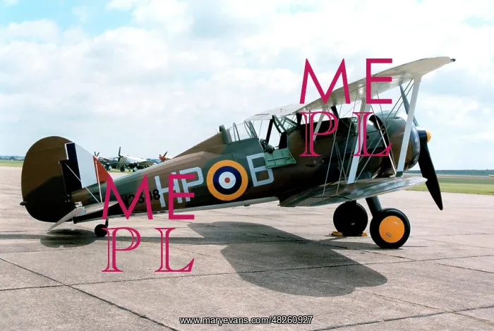 : Gloster Gladiator I G-AMRK / N2308 : Gloster Gladiator I G-AMRK / N2308