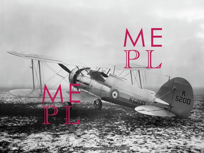 : Gloster Gladiator SS-37 prototype : Gloster Gladiator SS-37 prototype