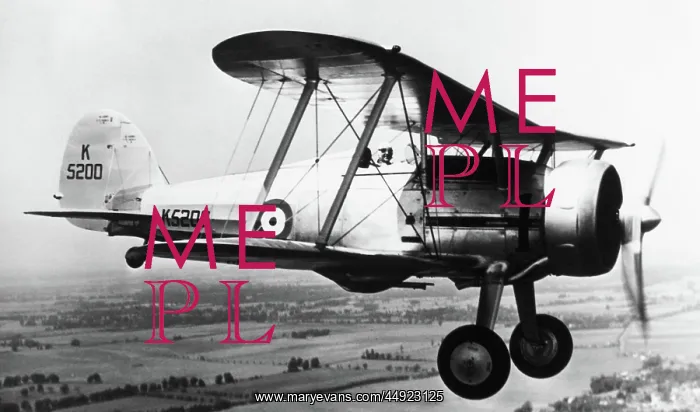 : Gloster Gladiator SS-37 prototype : Gloster Gladiator SS-37 prototype
