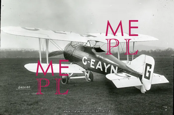 : Gloster Grouse I, G-EAYN : Gloster Grouse I, G-EAYN