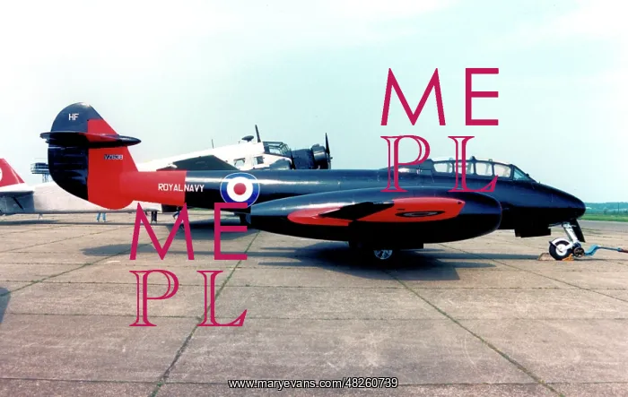 : Gloster Meteor T.7 G-JETM : Gloster Meteor T.7 G-JETM