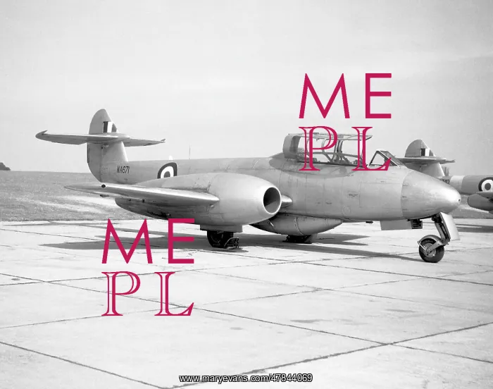 : Gloster Meteor T.7 WA741 : Gloster Meteor T.7 WA741
