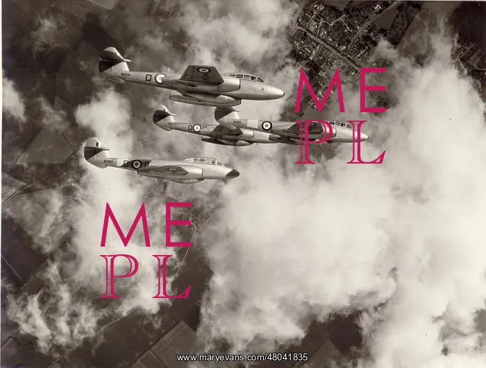 : Gloster Meteor T7s of the Central Flying School : Gloster Meteor T7s of the Central Flying School
