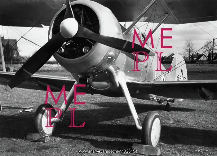  : Gloster Sea Gladiator