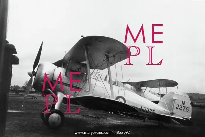 : Gloster Sea Gladiator Interim : Gloster Sea Gladiator Interim