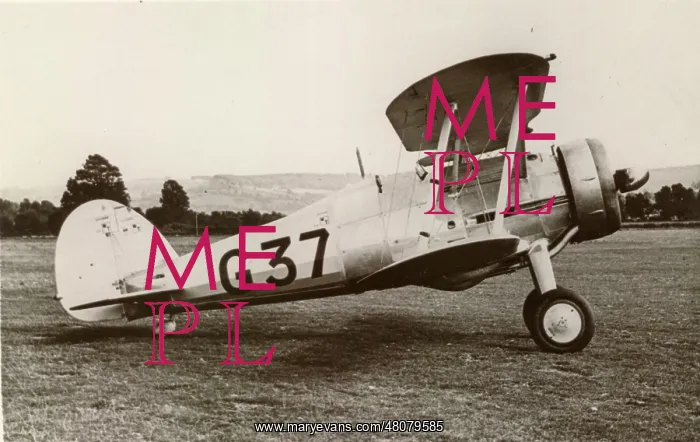 : Gloster SS37 : Gloster SS37