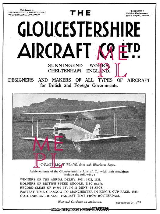 : Gloucestershire Gannet Blackburne : Gloucestershire Gannet Blackburne