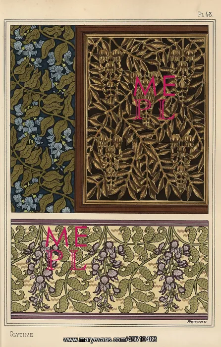 : Glycine in art nouveau patterns : Glycine in art nouveau patterns