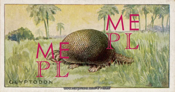: Glyptodon doedicurus, extinct animal : Glyptodon doedicurus, extinct animal