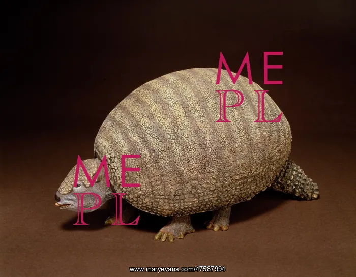 : Glyptodon, giant armadillo : Glyptodon, giant armadillo