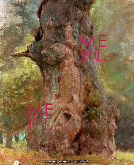 : A Gnarled Tree Trunk : A Gnarled Tree Trunk