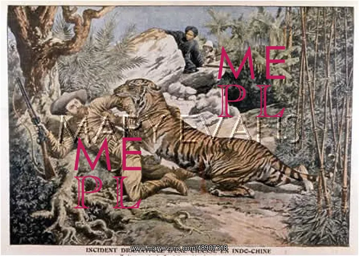: GNAWED BY TIGER, VIETNAM : GNAWED BY TIGER, VIETNAM