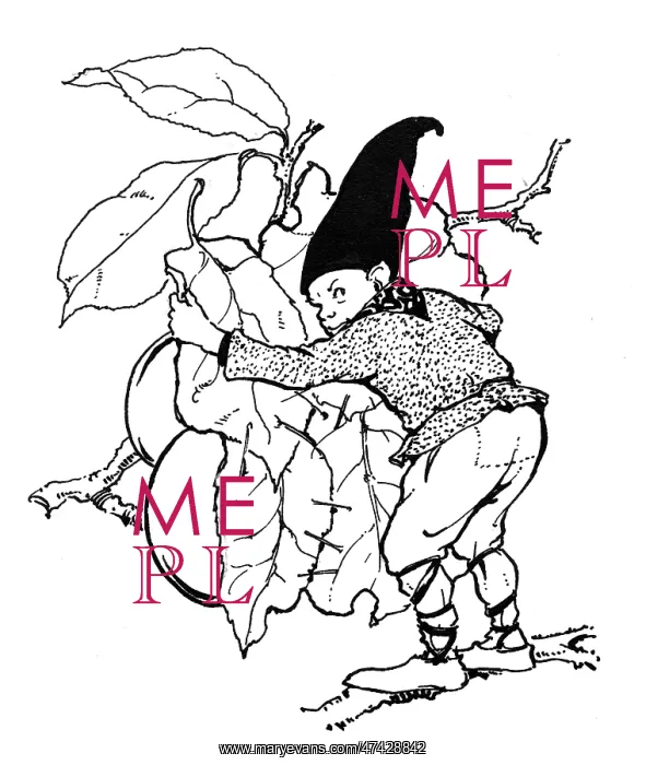 : Gnome guarding plums : Gnome guarding plums