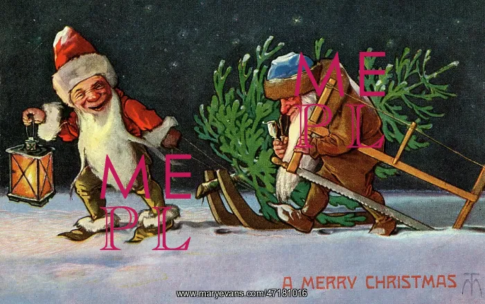  : Gnomes bring home Christmas tree