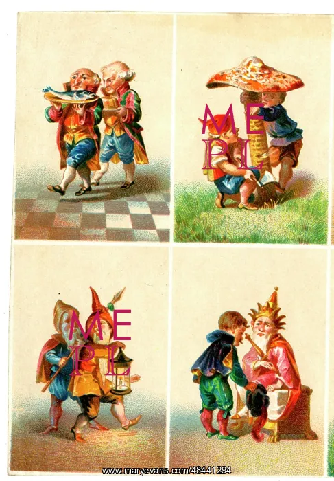  : Gnomes and Humans