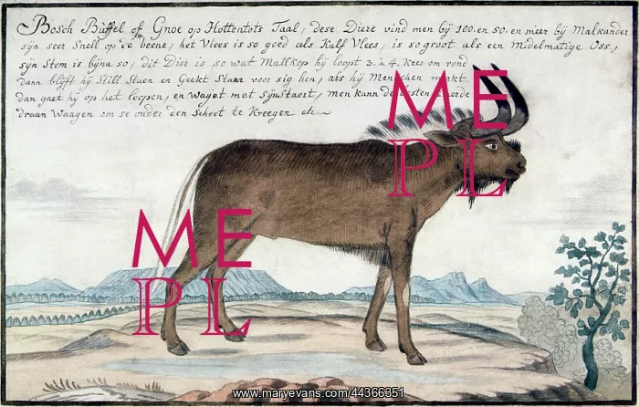 : The Gnu, 1766 : The Gnu, 1766