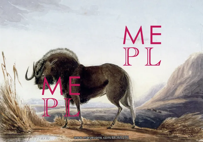 : The Gnu, 1836-1839 : The Gnu, 1836-1839