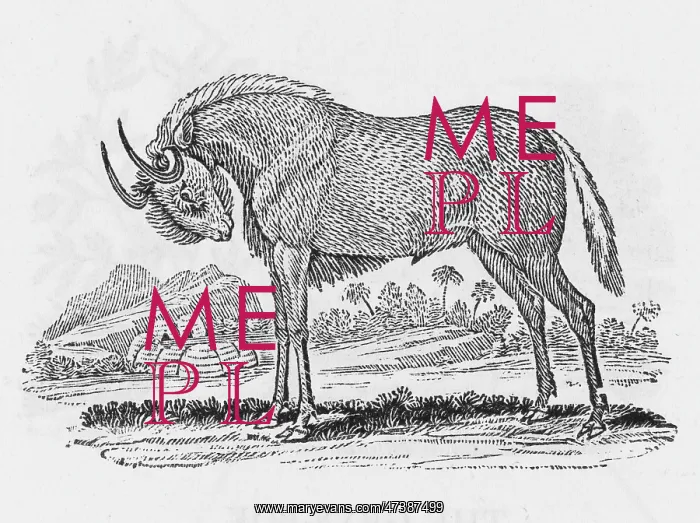 : GNU (BEWICK) : GNU (BEWICK)