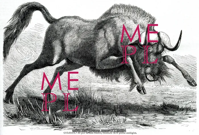 : GNU AT COLOGNE : GNU AT COLOGNE