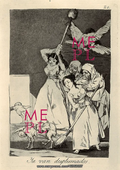 : There they go, plucked. Plate 20 of Los Caprichos : There they go, plucked. Plate 20 of Los Caprichos
