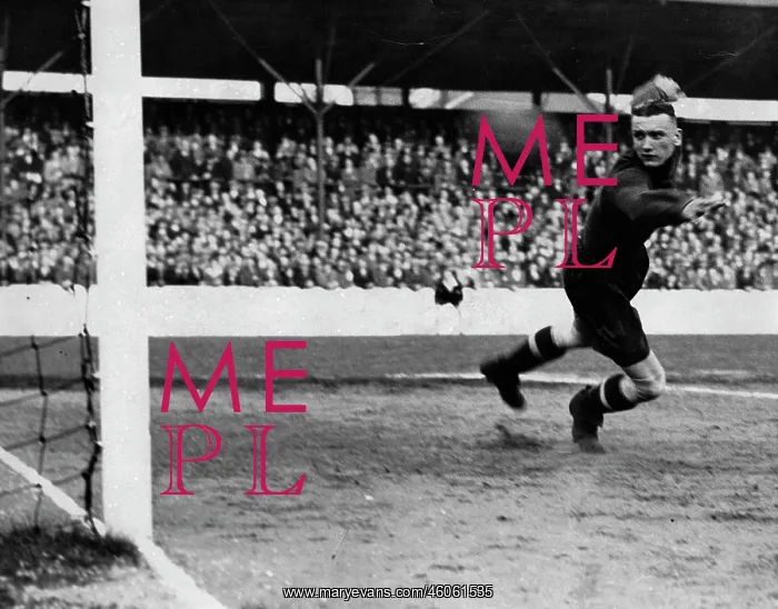: Goal in a soccer game : Goal in a soccer game