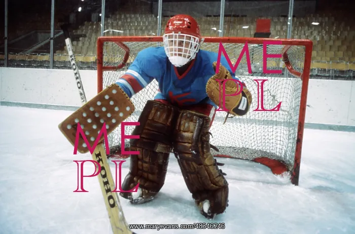 : Goalkeeper Vladimir Myshkin, 1979 : Goalkeeper Vladimir Myshkin, 1979