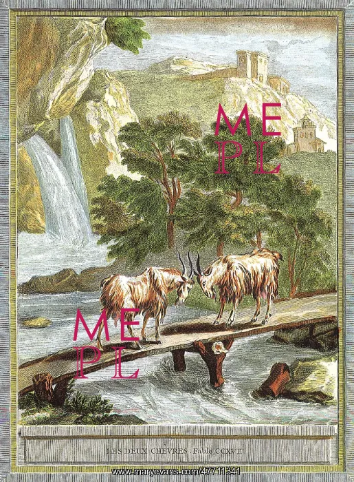  : Two Goat Fighting
