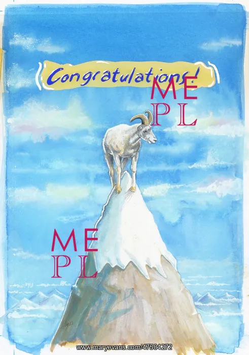 : Goat on a snowy mountain peak : Goat on a snowy mountain peak
