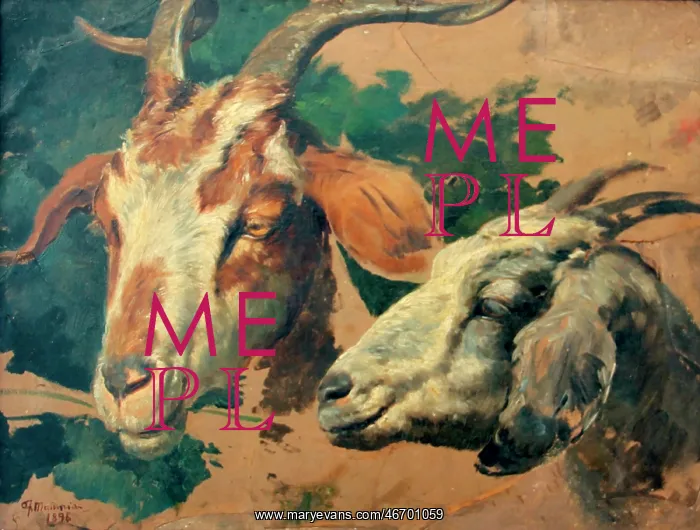 : Goats by Fortunino Matania : Goats by Fortunino Matania