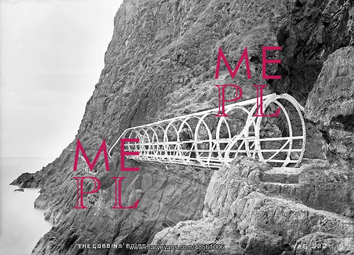 : The Gobbins Bridge : The Gobbins Bridge