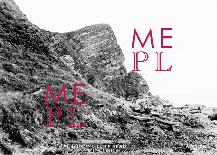 : The Gobbins Cliff Head : The Gobbins Cliff Head