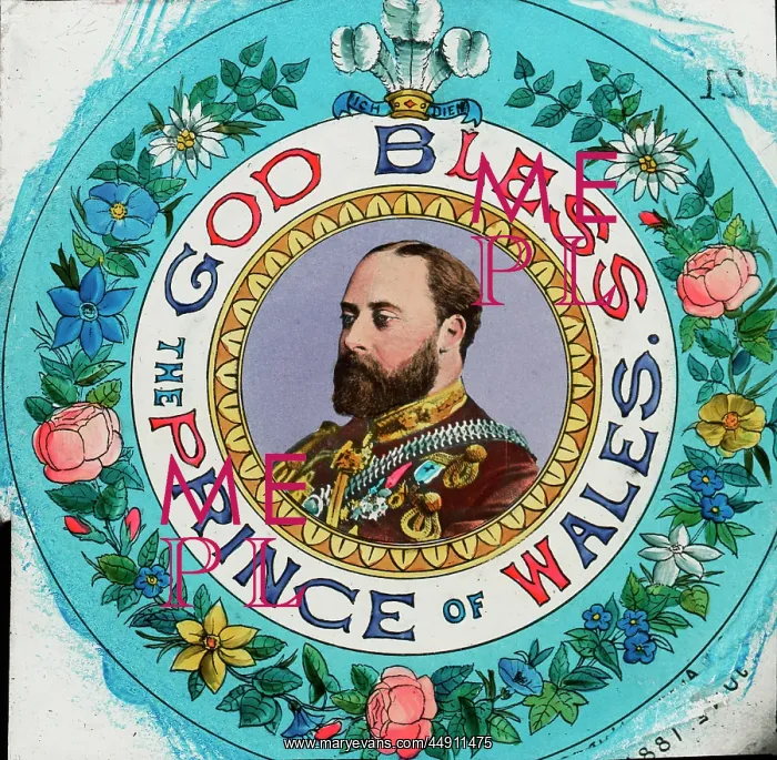 : God Bless the Prince of Wales : God Bless the Prince of Wales