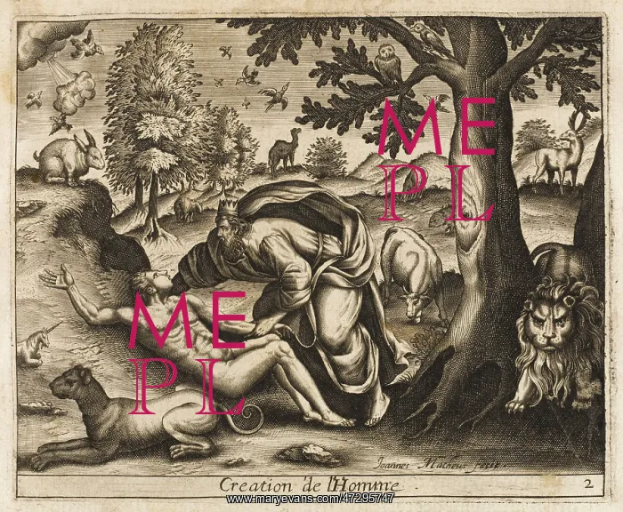  : GOD CREATES ADAM