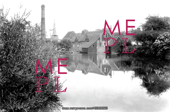  : Godalming, Flour Mill 1908