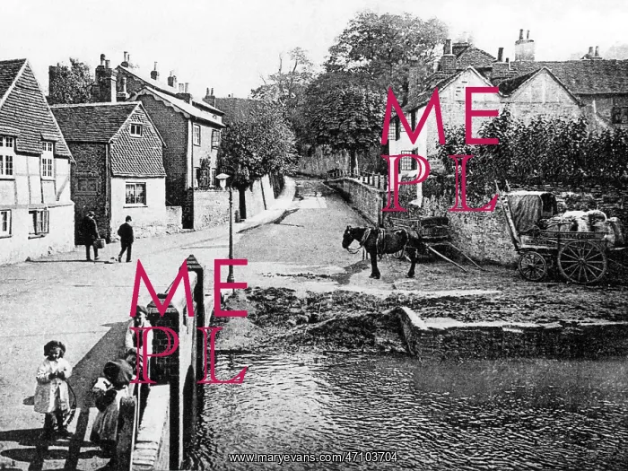  : Godalming Mill Lane