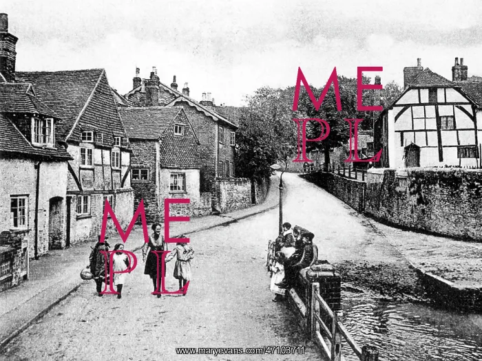  : Godalming The Mint