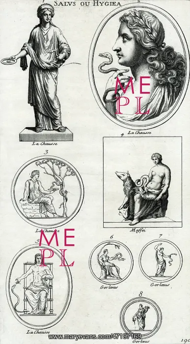 : GODDESS HYGEIA (HEAD) : GODDESS HYGEIA (HEAD)