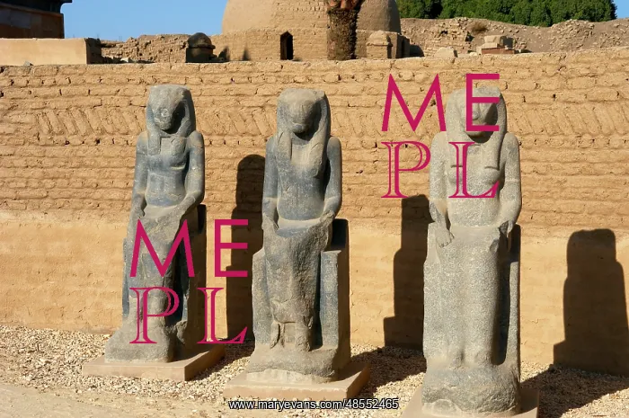 : Goddess Sekhmet statues. Egypt : Goddess Sekhmet statues. Egypt