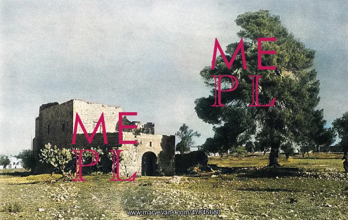 : Godfrey of Bouillon's Castle, Kerm esh Sheikh, Jerusalem : Godfrey of Bouillon's Castle, Kerm esh Sheikh, Jerusalem