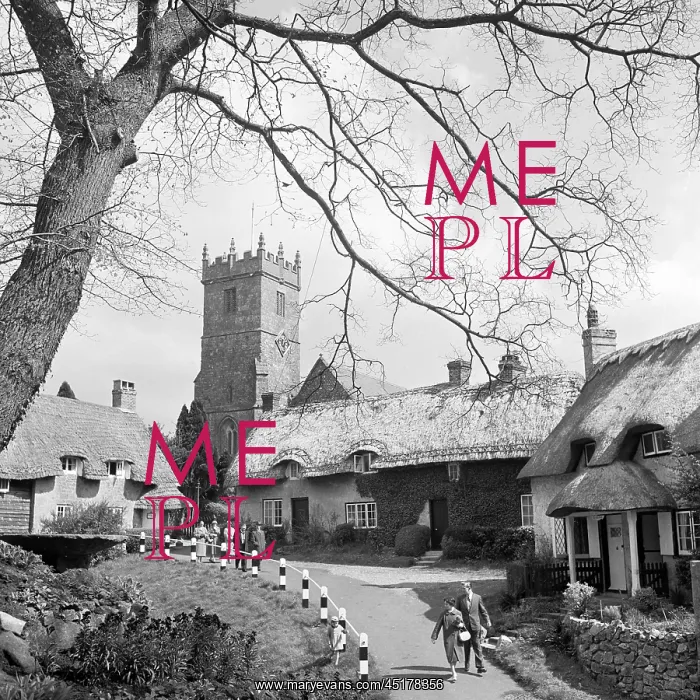 : Godshill. Delightful thatched cottages leading up to All Saints Church : Godshill. Delightful thatched cottages leading up to All Saints Church