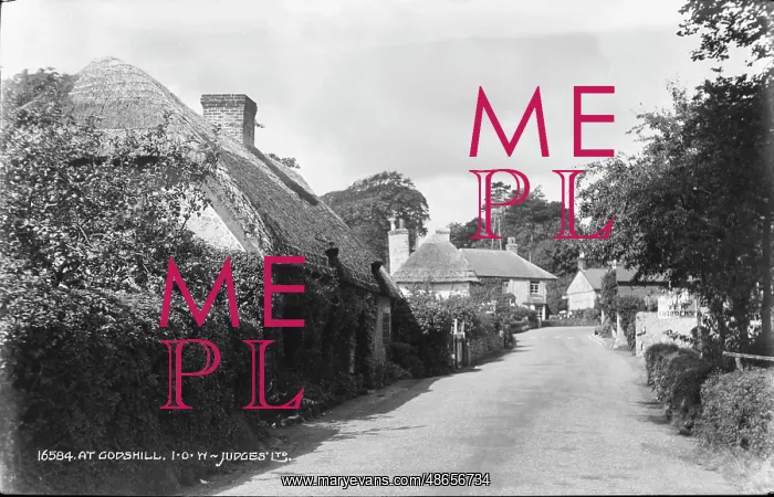 : At Godshill : At Godshill
