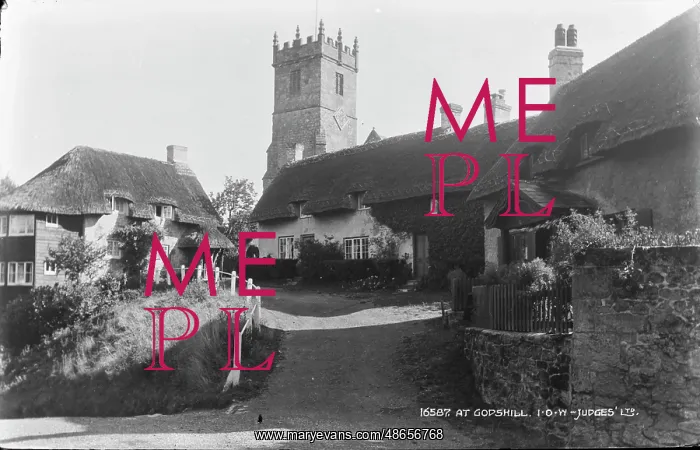 : At Godshill : At Godshill