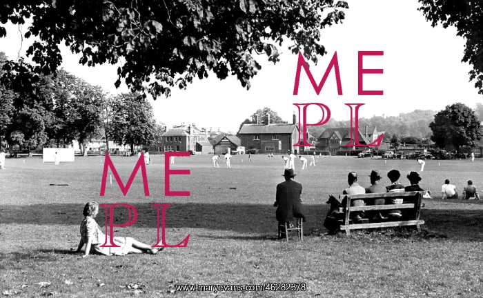  : Godstone, the Village Green c1955