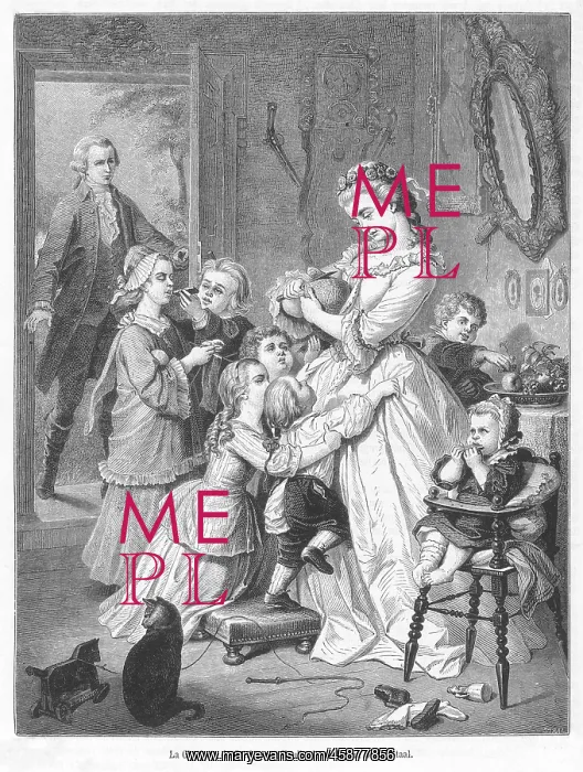 : GOETHE / SORROWS WERTHER : GOETHE / SORROWS WERTHER