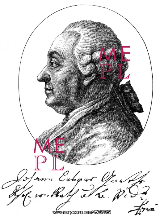 : GOETHE'S FATHER : GOETHE'S FATHER