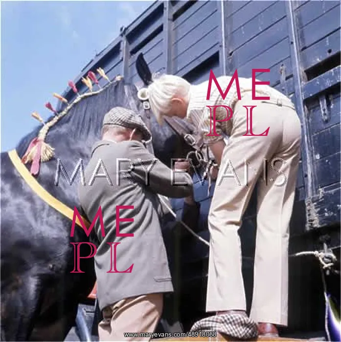 : GOING TO HORSE SHOW : GOING TO HORSE SHOW