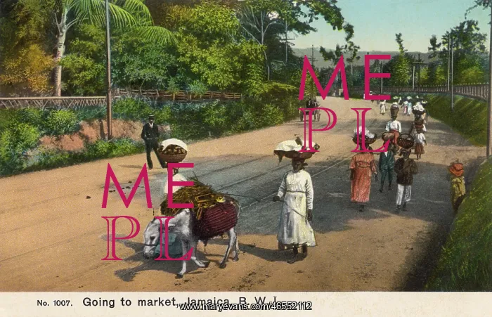  : Going to market - Jamaica